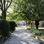 Le Bonheur- Cognac Hiersac