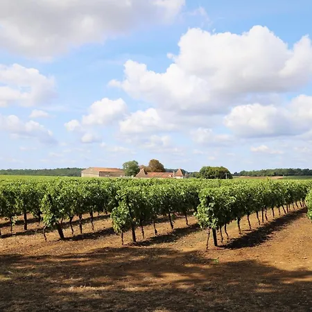 Bed and Breakfast Le Bonheur- Cognac