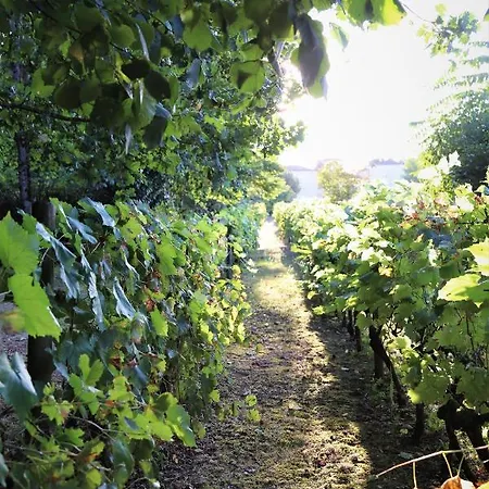 Le Bonheur- Cognac 3* Hiersac