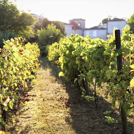 Le Bonheur- Cognac Bed & Breakfast *