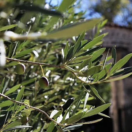 Bed and Breakfast Le Bonheur- Cognac Hiersac