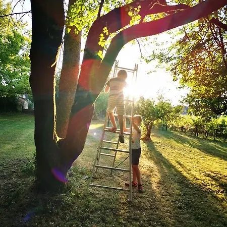 Le Bonheur- Cognac Bed and Breakfast