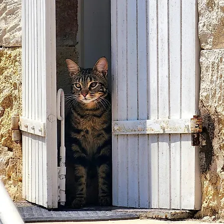 Le Bonheur- Cognac Bed and Breakfast 3*