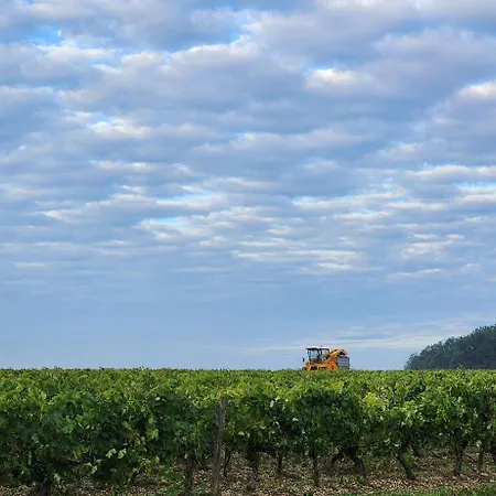 Le Bonheur- Cognac
