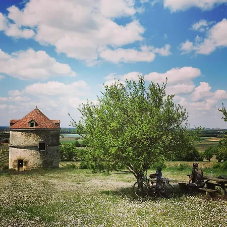 Bed and Breakfast Le Bonheur- Cognac Hiersac