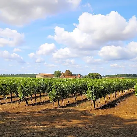 Le Bonheur- Cognac Bed & Breakfast 3*