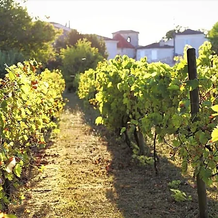 Bed & Breakfast Le Bonheur- Cognac Hiersac
