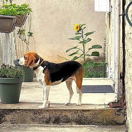 Le Bonheur- Cognac 3*