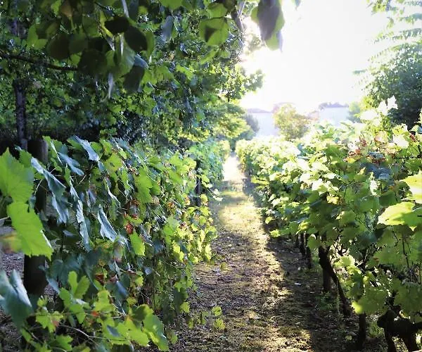 Le Bonheur- Cognac 3* Hiersac