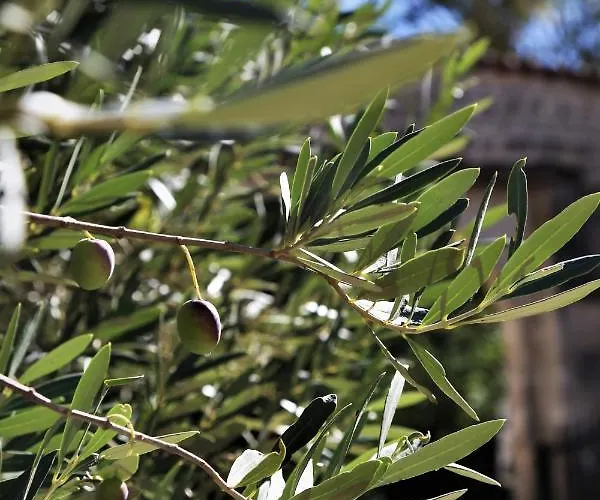 Bed and breakfast Le Bonheur- Cognac Hiersac