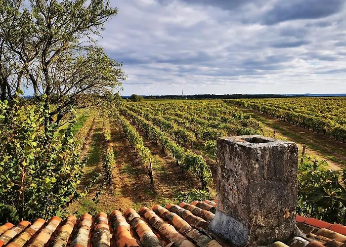 Le Bonheur- Cognac 3* Hiersac