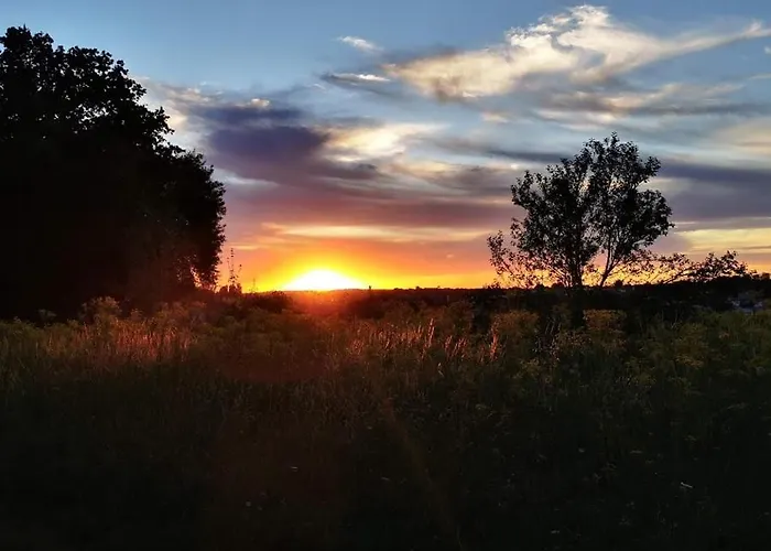 Le Bonheur- Cognac Hiersac