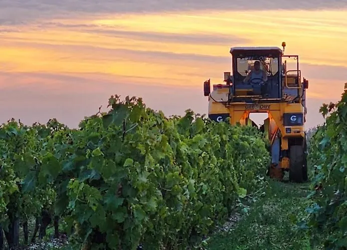 Le Bonheur- Cognac Bed and breakfast