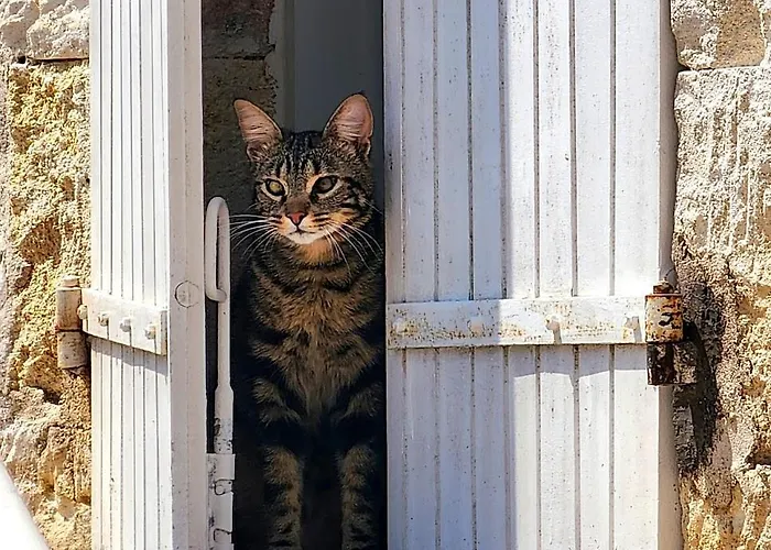 Le Bonheur- Cognac Bed and breakfast 3*